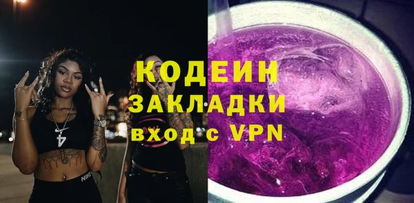 мдпв Инсар