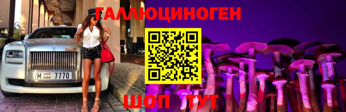 Галлюциногенные грибы прущие грибы Геленджик